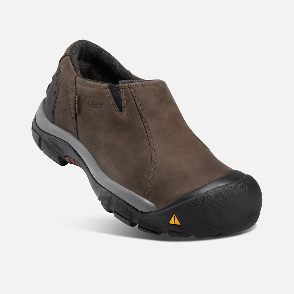 Slip-On Keen Homme Marron | Brixen Waterproof Basse | XPNJK-3561